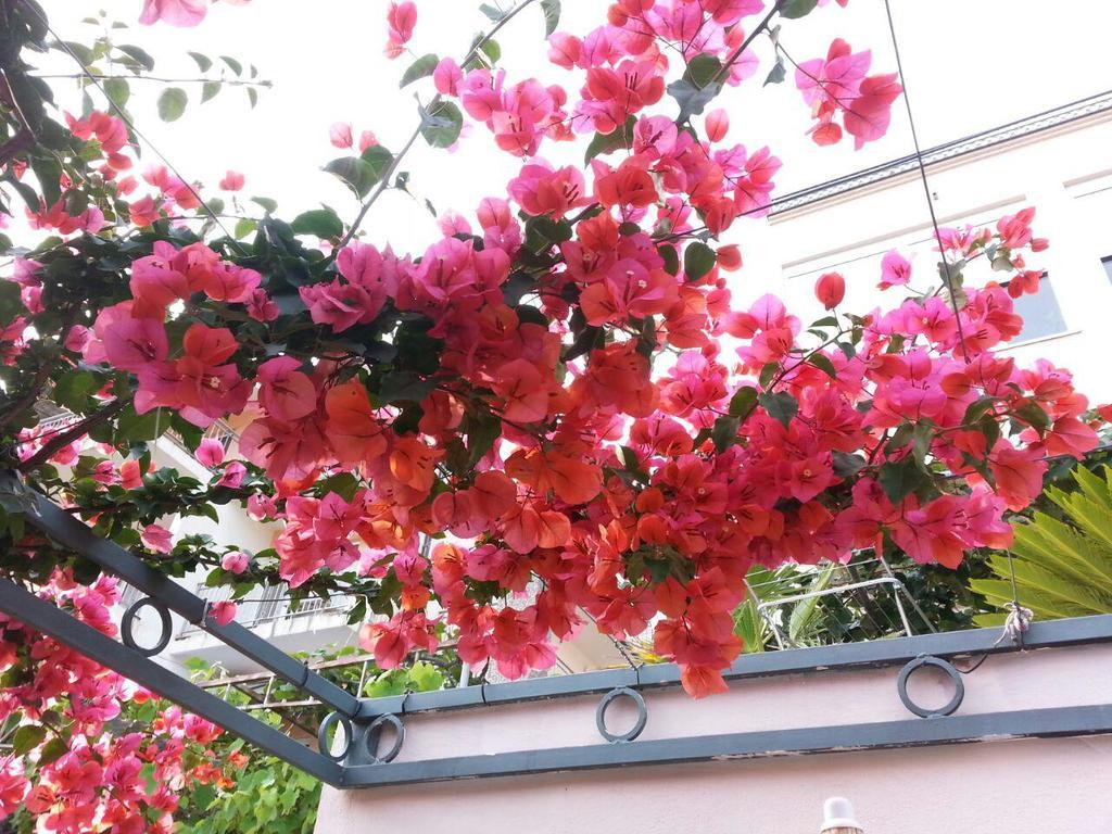 Comfort Apartments บาร์ ภายนอก รูปภาพ